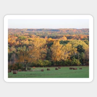 Fall View North from Mill Road in East Aurora, NY Sticker